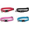 Flamingo Gatto Collare Libero Colori Multipli 20-34cm 10mm