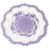 Handmade Centrino Rotondo ad Uncinetto 32 cm - Centrotavola Bianco e Lilla in Cotone, Decorazione Tavola e Protezione Mobili (17CN)
