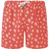 Blue coast yachting Costume da Bagno Uomo Asciugatura Rapida, Pantaloncini da Nuoto in Poliestere per Spiaggia e Piscina, Shorts Sportivi con Fodera in Rete e Tasche