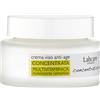 Labcare Linea Concentratissime Crema Viso Concentrata Multivitaminica 50 ml