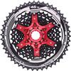 QZIVNBPM Adatto per Cassetta SunRace CSMS3/CSMX3 A Rapporto Largo 11-46T/11-51T, Ruota Libera per Bici MTB A 10 velocità, per Mozzo HG Falsamaglia Catena Bici Cassette e pignoni