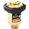 RENXUWS 19300-ZV5 ZV5-043 ZV5-033 Termostato per Motore fuoribordo 4T BF50 75 90 115 130HP 72C/162F Sierra 18-3630