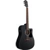 Ibanez Acoustic Guitar / V44CEWK