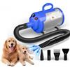 Blanlody Soffiatore per Cani Blower Molto Silenzioso, 5,2 CV/3800 W, Velocità Regolabile, Ventilatore per la Cura Del Cane con 4 Diversi Ugelli, Tubo Elastico