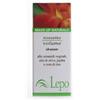 LEPO ROSSETTO VOLUME 56