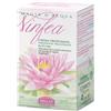 HELAN COSMESI SRL NINFEA MAGIA D'ACQUA CREMA CORPO PROFUMATA 200 ML