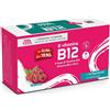 Paladin Pharma Sanavita B Vitamins B12 15 Flaconcini