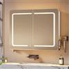 Hzuaneri Specchio Bagno Contenitore, Mobile Bagno con Illuminazione a LED, 3 Temperature Colore Dimmerabili, Ripiano Regolabile, 16,5 x 70 x 60 cm, Bianco MC30203XEU
