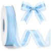 G2PLUS Nastro in Organza Azzurro: 25mm x 50yarde