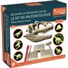 EXPLORA SCIENCES EXPLORA - Dinosauri fosforescenti - Kit di paleontologo - 039400 - Gesso da Scavare - Kit di Scoperta - Gioco per Bambini - Scientifico - Educativo - Avventura - Giocattolo - A Partire dai 5 Anni