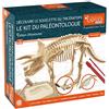 EXPLORA SCIENCES EXPLORA - Triceratops - Kit del paleontologo - 039399 - Gesso da scavare - Dinosauri - Kit di scoperta - Per bambini - Educativo - Avventura - Divertente - Giocattolo - A partire dai 6 anni