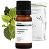 Aroma Labs Ravintsara BIO (Cinnamomum camphora CT cineolo) - 10 mL - Olio Essenziale Chemiotipizzato e Certificato AB - Aroma Labs - Made in France