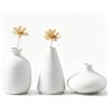QUTHZZHY Quthzzh - Mini vaso in ceramica, 3 vasi in ceramica, per dipingere il proprio set di vasi in ceramica, per decorazioni moderne, per fai da te, soggiorno, scaffali, tavolo da pranzo, libreria