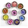 Merca Candele scaldavivante e ricariche per portacandele con 10 candele profumate a forma di fiori (ibisco, giglio, ciliegio, loto, rosa, frangipane)
