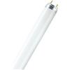 WatioWave Tubo fluorescente T8 36 W 6500 K 1200 mm, ideale per l'illuminazione commerciale e domestica, fornisce luce bianca fredda ed efficiente.