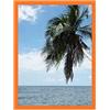 RK Cadres Cornice su Misura 32x45 o 45 x 32 Cornice portafoto Arancione, 3 Centimetri di Larghezza