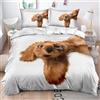 Tomifine Copripiumino cane carino Cucciolo animale set di biancheria da letto Adorabile cane da compagnia Copripiumino Cani per bambini, ragazzi e ragazze (135x200cm+50x75cmx2,Marrone)