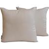 The HomeCentric Decorativo Grigio chiaro Fodere per cuscini Confezione da 2, 40 x 40 cm Seta d'arte Cuscino Semplice e solido, Fodera per cuscino Solido, Moderno Fodere per cuscini - Light Gray Luxury