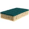 Vileda Spugne e pagliette abrasivi Vileda Poliuretano Verde 14x9 cm 101879 (conf.10)