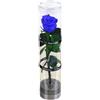 Guangcailun Rose Singole stabilizzate Reali stabilizzate Bellezza e Senza rivali Senza Manutenzione per Sempre Elegante Miscela di Rose eterne, Blu Reale
