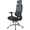 IlGruppone Sedia Ufficio Ergonomica Professionale Schienale Alto in Rete Gaming Poltrona Direzionale Altezza Regolabile Portata 150 kg con Supporto Lombare e Braccioli Regolabili - Nero