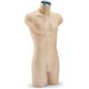 The Shopfittings Shop Fleshtone Uomo Sportswear Manichino Busto for Swimwear Fashion and Shopfittings