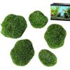 Generico Moss Balls - Ball mariimo Moss mariimo a 5 pacchetti | Pianta di acquario viivo fresco realistico | Decorazione paesaggistica del serbatoio 'acqua | Decorazione di tavoli da tavolo da