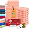 Betz 10 guanti da bagno manopola Palermo 100% cotone misure 16 x 21 cm colore albicocca