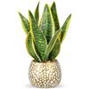 Oairse Sansevieria - Pianta artificiale in vaso in ceramica dorata, 31 cm, pianta artificiale di serpente artificiale, per bagno, camera da letto, casa, ufficio, decorazione