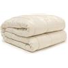 PARAMAISON Trapunta Matrimoniale Invernale Raso Elisbeth, 270 x 270 cm, Design Piazzato Jaquard, Invernale, Anallergico, King Size, 350 gr/mq, Panna