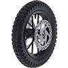 Klanata Ruota posteriore compatibile con Coolster QG50 12,5x2,75 pollici | Gruppo ruota con cerchio in metallo, pneumatico, camera d'aria ispessita e freno a disco per dirt bike 49 cc a 2 tempi.
