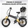 NONE Bicicletta elettrica pieghevole MAXTRON Polaris, 500W 48V 13AH, pneumatici larghi 20x4.0 pollici, autonomia di 45 km, velocità massima di 25 km/h, bicicletta elettrica urbana.