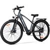 NONE HEDATX TX1 500W 48V16AH Bicicletta Elettrica 7 Velocità con Display LCD, Ruote da 29 Pollici, per Pendolari Urbani