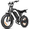 NONE Bicicletta Elettrica per Adulti ESKUTE V202, Potenza 250W, Batteria 48V 20.8AH, Autonomia 50-80km, Pneumatici All-Terrain 20*4.0 pollici.