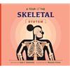 Lisa J Amstutz A Tour of the Skeletal System (Tascabile) Welcome to Your Body
