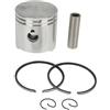 RENXUWS 369-00001 Set pistone Std 55MM per Motore fuoribordo 2 Tempi per Tohatsu M5 5HP 4HP 369-00001-0 6HP per Mercury per Mariner 4Hp 5Hp 779