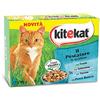 Kitekat Cibo per Gatto, il Pescatore in Gelatina con Trota, Salmone, Tonno e Pesce Bianco 12 x 100 g - 4 Confezioni (48 Pezzi in Totale)