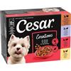 Cesar Selezione Carne e Verdure in Gelatina - 12 x 100 g