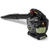 Alpina ABL 27 Soffiatore Di Foglie A Benzina, 27,6 cm³, 0,8 kW - Leggero E Compatto, Avviamento Semplificato - Ideale Per Giardinaggio