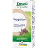 BOIRON Srl HARPAGOPHYTUM EI 60ML INT