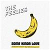 The Feelies Some Kinda Love: Performing the Music of the Velvet Underground (CD)
