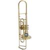 IMI Trombone, passo in Sib, qualità premium con custodia e bocchino (oro)