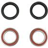 Athena W445003F Kit Cuscinetti Ruota e Paraolio