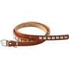 DSFIHJO Cintura Borchie Cintura con cinturino in pelle PU rivetti punk for donna e uomo, fibbia sottile in metallo, stile gotico, for jeans retrò abiti(Brown)