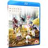 Crunchyroll Puella Magi Madoka Magica The Movie: Part 1 - Beginnings (Blu-ray) Aoi Y ki