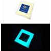 Resin Pro UN Pigmento A BASE BIANCA additivo polvere luminescente fosforescente che si illumina al buio (BLU SKY 20g)