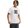 DC Shoes Maglietta da Uomo