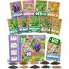 ZenGreens® Set di Semi di Erbe da Tisana bio - 10 varietà antiche - Sementi