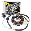 Area1 Statore/Generatore per Scooter 50cc 4T Cina GY6 139QMB/QMA - Compatibile con AGM, Nova, Alpha-Motors, Direct-Bikes, Dafier, ATU Explorer, FlexTech, GT Union, Guoben, Vanguard, Yiying