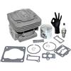 RLFNPHMHX Kit pistone cilindro for R//e//d/M/a/x | EBZ7001 EBZ7001RH EBZ7100 EBZ7100RH EBZ7150 EBZ7150RH 848H1012A2
